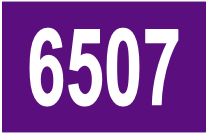 Bus 6507